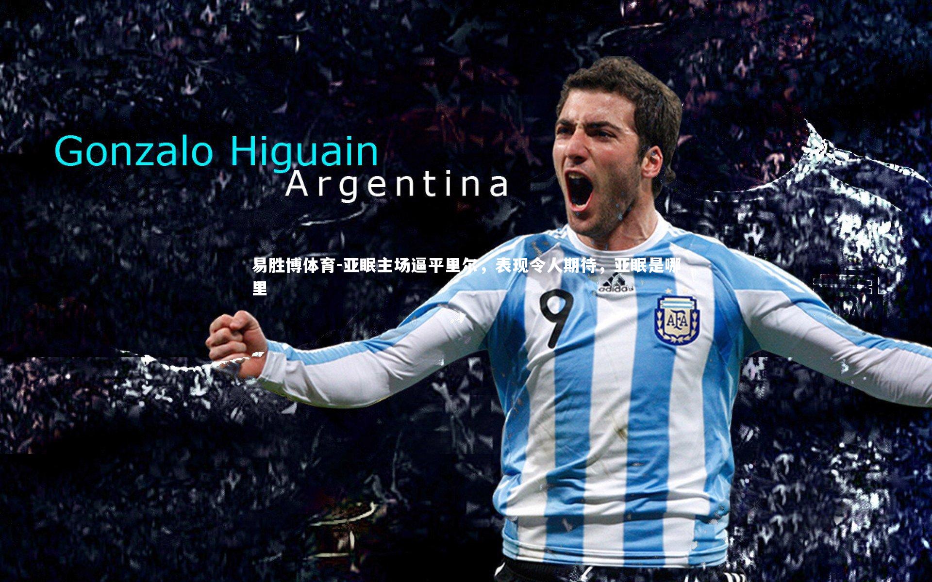 亚眠主场逼平里尔,表现令人期待,亚眠是哪里