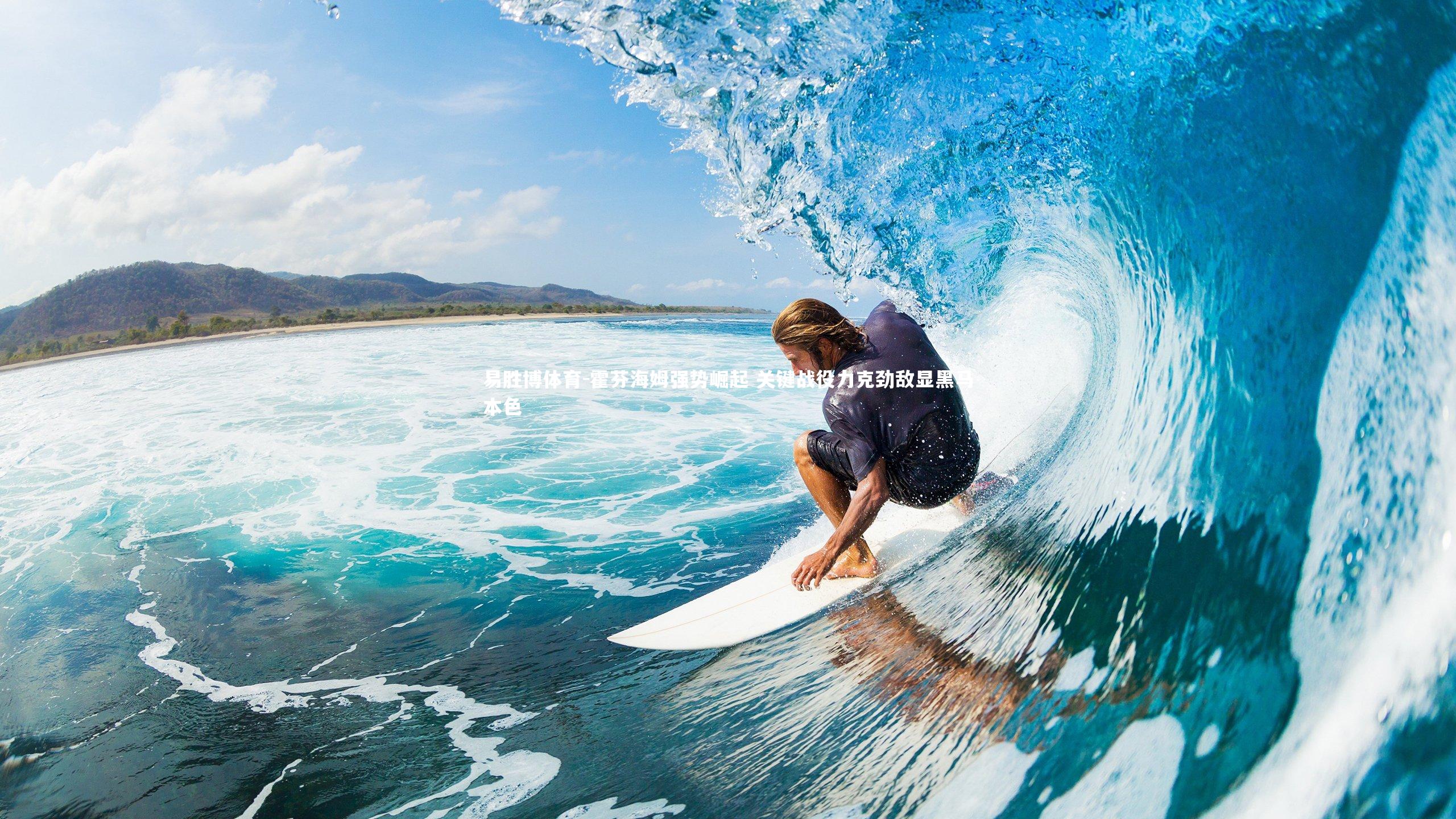 易胜博体育-霍芬海姆强势崛起 关键战役力克劲敌显黑马本色